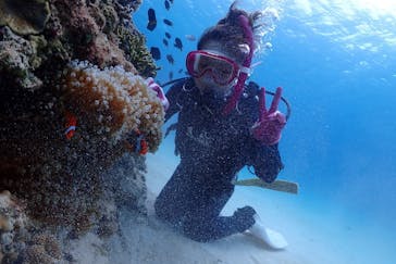 ダイビングショップ Sea Free（シーフリー）に投稿された画像（2018/11/6）