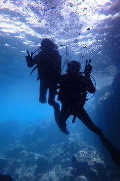 diving&workshop IHANASHI（ダイビングアンドワークショップイハナシ）に投稿された画像（2018/9/18）