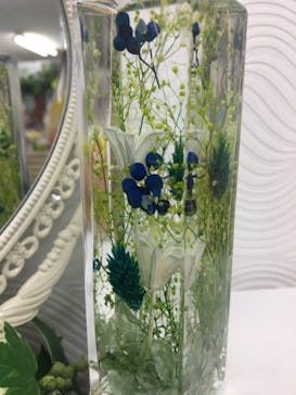 ずこうしつ〜sugamo〜に投稿された画像（2019/2/9）