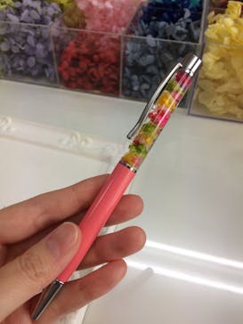 ずこうしつ〜sugamo〜に投稿された画像（2019/4/14）