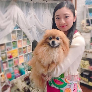 アトリエ プティパに投稿された画像（2019/4/30）