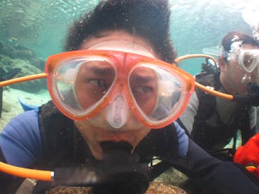 沖縄ダイビングショップシーモールに投稿された画像（2019/1/1）