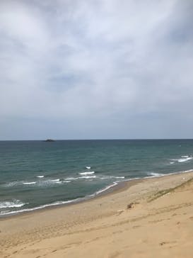 鳥取砂丘サンドボードスクール事業部に投稿された画像（2019/4/12）