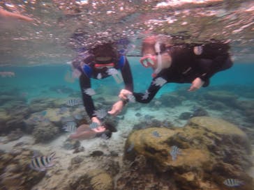 青の洞窟専門店　沖縄ダイビングショップ和に投稿された画像（2019/2/10）