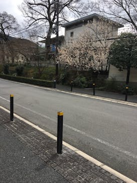 京都きものレンタル 麗に投稿された画像（2019/3/16）