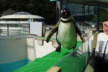 下田海中水族館に投稿された画像（2018/3/23）