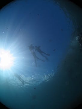 diving&workshop IHANASHI（ダイビングアンドワークショップイハナシ）に投稿された画像（2018/8/5）