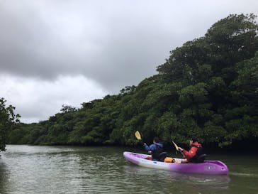 CHOROに投稿された画像（2019/1/21）