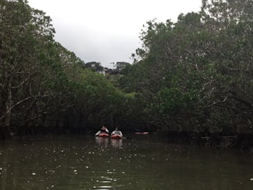 マングローブ茶屋に投稿された画像（2018/12/8）