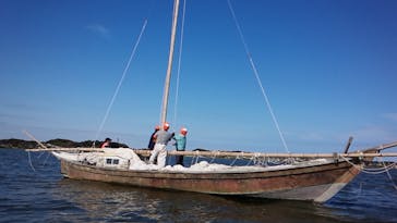 一般財団法人行方市開発公社に投稿された画像（2018/10/7）