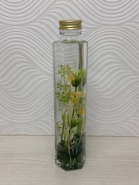 ずこうしつ〜sugamo〜に投稿された画像（2018/11/21）