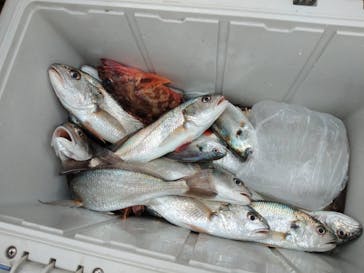 asoview!DAY（アソビューデイ）に投稿された画像（2019/2/5）