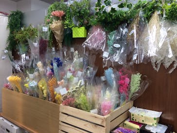 ずこうしつ〜sugamo〜に投稿された画像（2018/11/23）