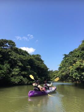 CHOROに投稿された画像（2019/3/3）