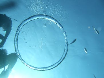 沖縄ダイビングショップシーモールに投稿された画像（2019/1/30）