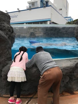 鴨川シーワールドに投稿された画像（2019/3/30）