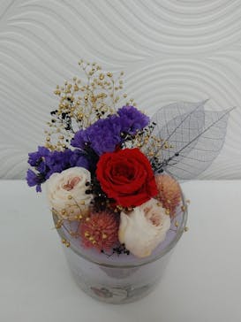 ずこうしつ〜sugamo〜に投稿された画像（2019/2/17）