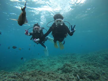 武藤潜水に投稿された画像（2019/5/20）