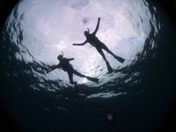 diving&workshop IHANASHI（ダイビングアンドワークショップイハナシ）に投稿された画像（2018/6/5）