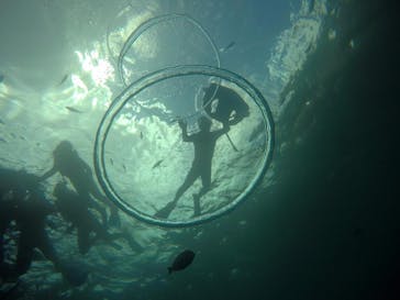 武藤潜水に投稿された画像（2018/7/15）