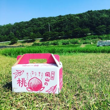 桃茂実苑に投稿された画像（2018/8/3）