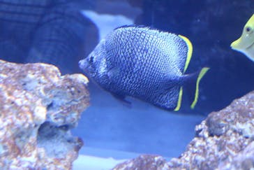 すみだ水族館に投稿された画像（2018/12/16）