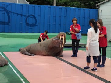 ゼロ距離水族館 伊勢シーパラダイスに投稿された画像（2019/6/7）