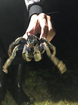 石垣島 ADVENTURE PiPi（イシガキジマアドベンチャーピピ）に投稿された画像（2019/3/1）