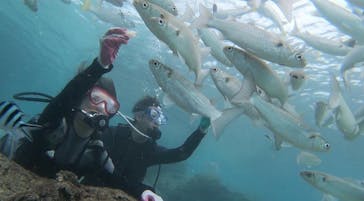 青の洞窟専門店　沖縄ダイビングショップ和に投稿された画像（2018/10/9）