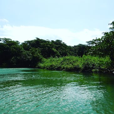 CHOROに投稿された画像（2018/3/21）