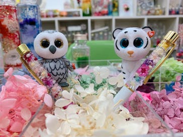 ずこうしつ〜sugamo〜に投稿された画像（2019/2/4）