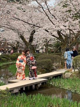 着物レンタルVASARA 金沢駅前店に投稿された画像（2019/4/21）