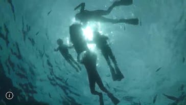 ドロップイン 沖縄に投稿された画像（2018/6/8）