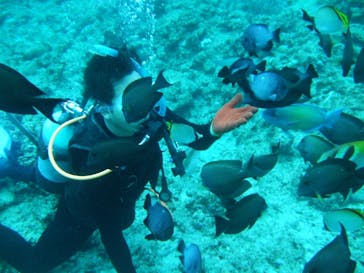 沖縄ダイビングショップシーモールに投稿された画像（2019/3/21）