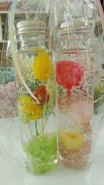 ずこうしつ〜sugamo〜に投稿された画像（2019/5/10）