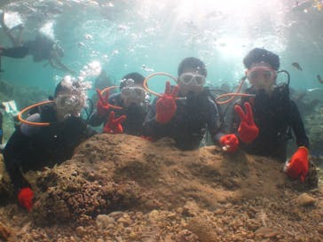 沖縄ダイビングショップシーモールに投稿された画像（2018/12/6）