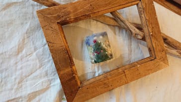 une graine（アングレンヌ）に投稿された画像（2018/12/27）