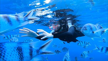 青の洞窟専門店　沖縄ダイビングショップ和に投稿された画像（2019/2/24）