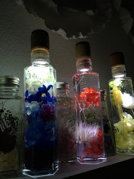 ずこうしつ〜sugamo〜に投稿された画像（2019/2/19）