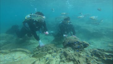 青の洞窟専門店　沖縄ダイビングショップ和に投稿された画像（2018/10/12）