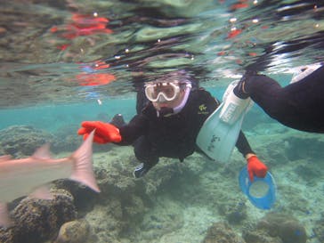 沖縄ダイビングショップシーモールに投稿された画像（2019/2/10）