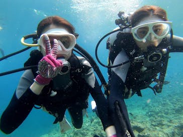 DIVING-SHOP SUNSに投稿された画像（2019/6/4）