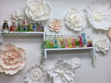 ずこうしつ〜sugamo〜に投稿された画像（2019/2/4）