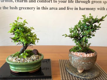 キマルスペースに投稿された画像（2018/4/14）