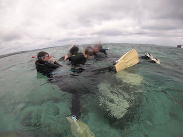 武藤潜水に投稿された画像（2019/3/19）