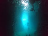 武藤潜水に投稿された画像（2019/4/14）