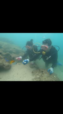 武藤潜水に投稿された画像（2019/2/22）