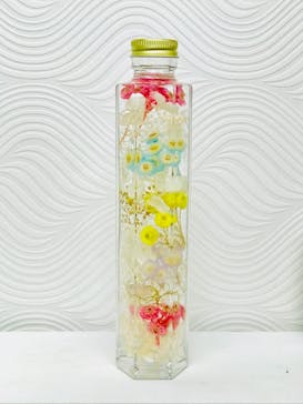 ずこうしつ〜sugamo〜に投稿された画像（2019/2/9）