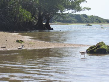 CHOROに投稿された画像（2018/3/31）
