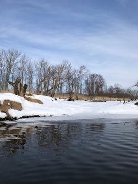 レイクサイドとうろに投稿された画像（2019/2/20）